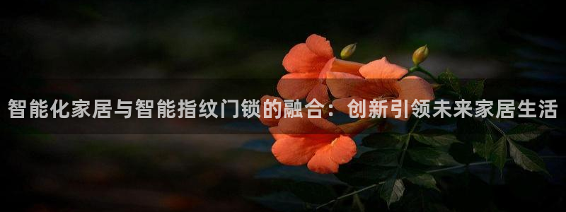 开丰娱乐线路：智能化家居与智能指纹门锁的融合：创新引领未来家