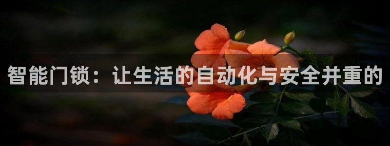 开丰娱乐注册：智能门锁：让生活的自动化与安全并重的