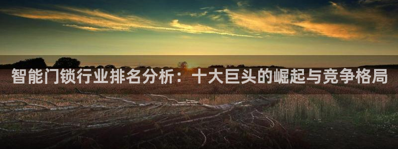 开丰娱乐注册登录：智能门锁行业排名分析：十大巨头的崛起与竞争