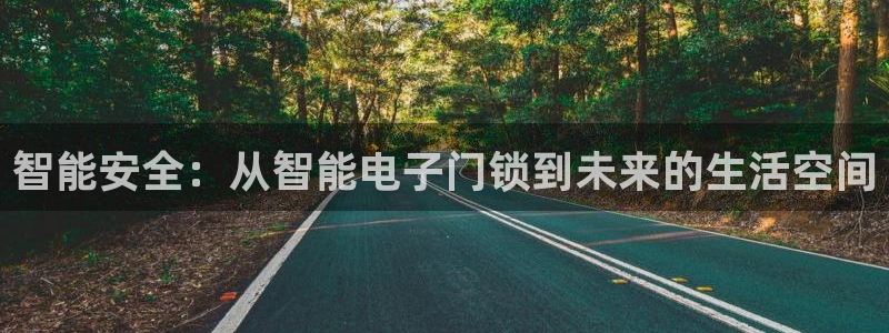 开丰娱乐行业恢复时间：智能安全：从智能电子门锁到未来的生活空