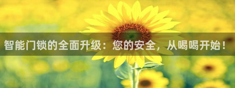 开丰娱乐日：智能门锁的全面升级：您的安全，从喝喝开始！