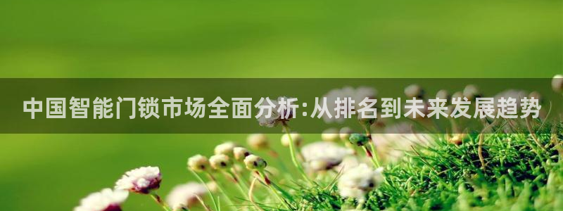 开丰娱乐平台官网网址：中国智能门锁市场全面分析:从排名到未来