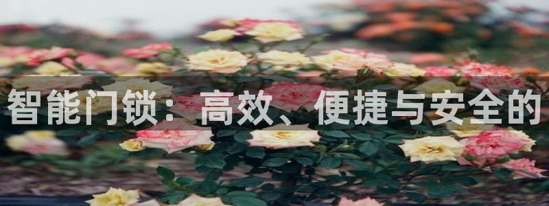 开丰娱乐后：智能门锁：高效、便捷与安全的