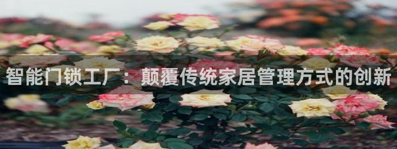 开丰娱乐登入地址在哪儿：智能门锁工厂：颠覆传统家居管理方式的
