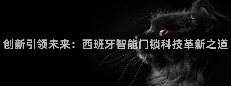 开丰娱乐右7O667：创新引领未来：西班牙智能门锁科技革新之