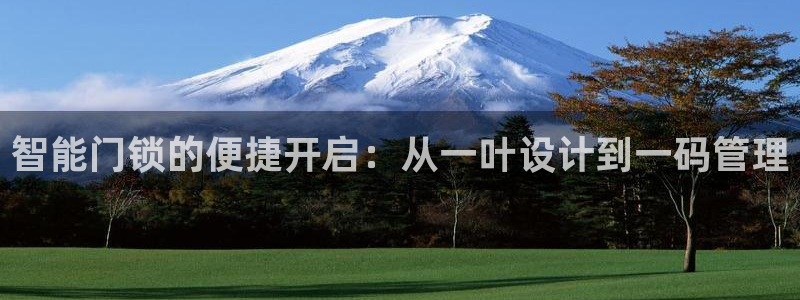 开丰娱乐官网最新消息：智能门锁的便捷开启：从一叶设计到一码管