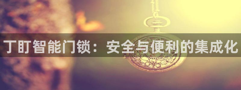 开丰娱乐 赢咖一：丁盯智能门锁：安全与便利的集成化