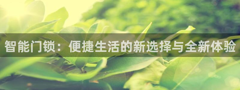 开丰娱乐网站官网：智能门锁：便捷生活的新选择与全新体验