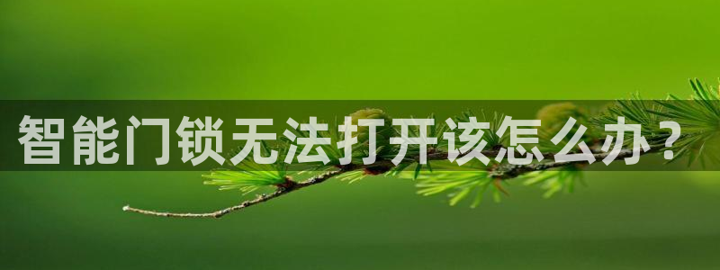开丰娱乐登陆：智能门锁无法打开该怎么办？
