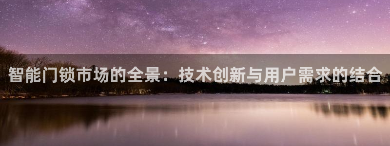 开丰娱乐app：智能门锁市场的全景：技术创新与用户需求的结合