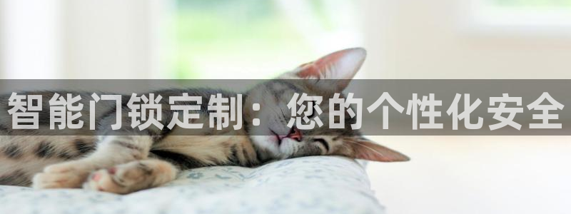 开丰娱乐左：智能门锁定制：您的个性化安全