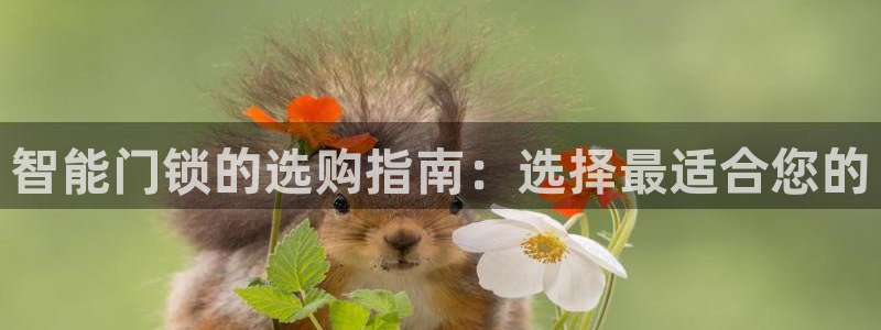 开丰娱乐平台官网登录：智能门锁的选购指南：选择最适合您的