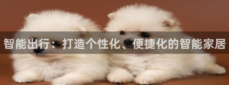 开丰娱乐会员中心：智能出行：打造个性化、便捷化的智能家居