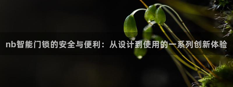 开丰娱乐天7O667：nb智能门锁的安全与便利：从设计到使用