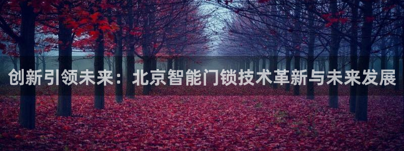 开丰娱乐左7O667：创新引领未来：北京智能门锁技术革新与未