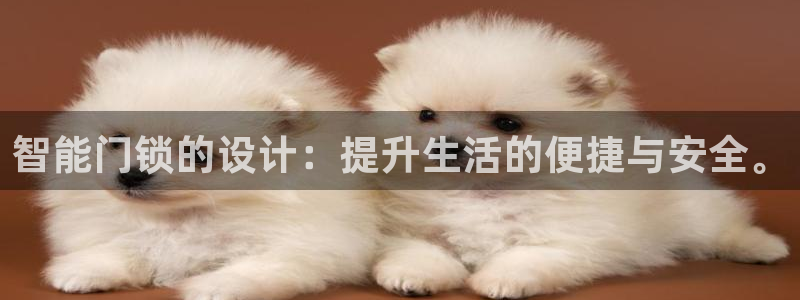 开丰娱乐左：智能门锁的设计：提升生活的便捷与安全。