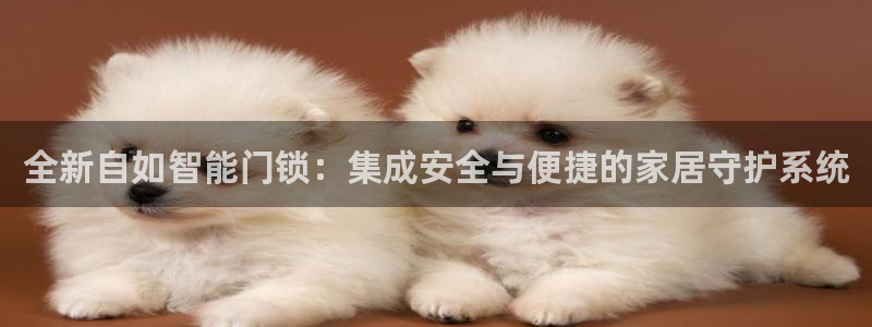 开丰娱乐官网招聘：全新自如智能门锁：集成安全与便捷的家居守护