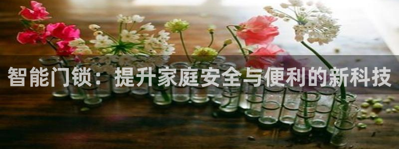 开丰娱乐登录注册：智能门锁：提升家庭安全与便利的新科技