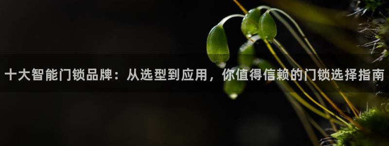 开丰娱乐官网登录网址：十大智能门锁品牌：从选型到应用，你值得