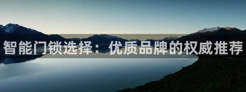 开丰娱乐新登录平台：智能门锁选择：优质品牌的权威推荐