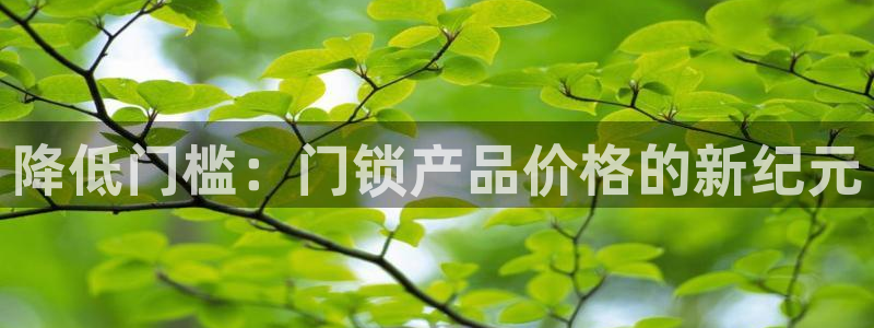 开丰娱乐千67五壹叁八：降低门槛：门锁产品价格的新纪元