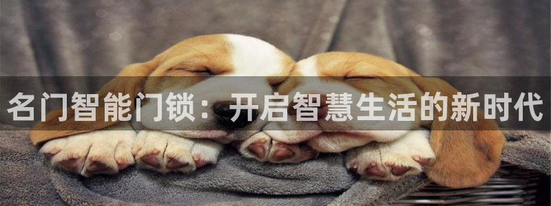 开丰娱乐官网首页：名门智能门锁：开启智慧生活的新时代
