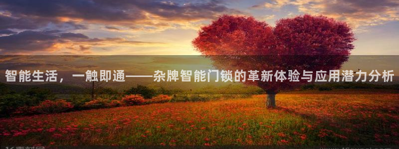 开丰娱乐官网平台登录：智能生活，一触即通——杂牌智能门锁的革