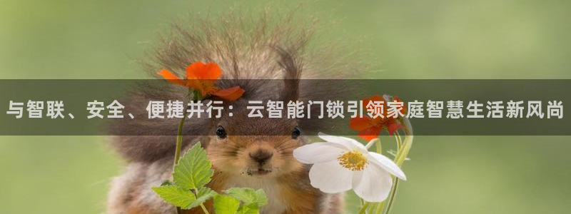 开丰娱乐网站官网首页：与智联、安全、便捷并行：云智能门锁引领