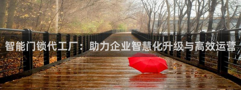 开丰娱乐登入地址在哪：智能门锁代工厂：助力企业智慧化升级与高